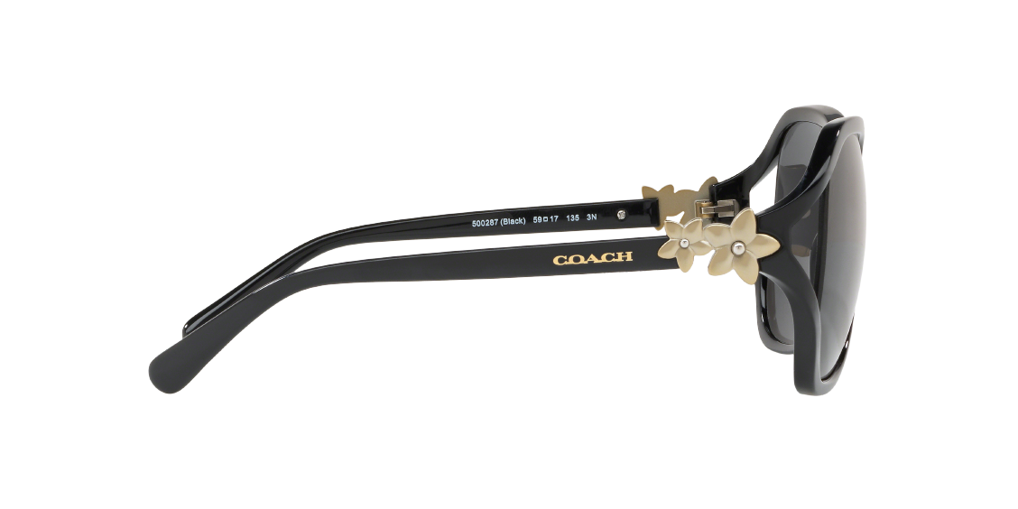 Солнцезащитные очки Coach L1033 HC8233 500287