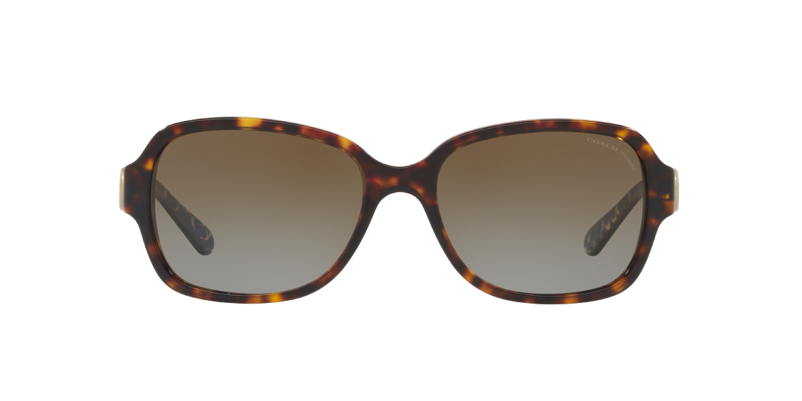 Солнцезащитные очки Coach L1031 HC8241 5507T5