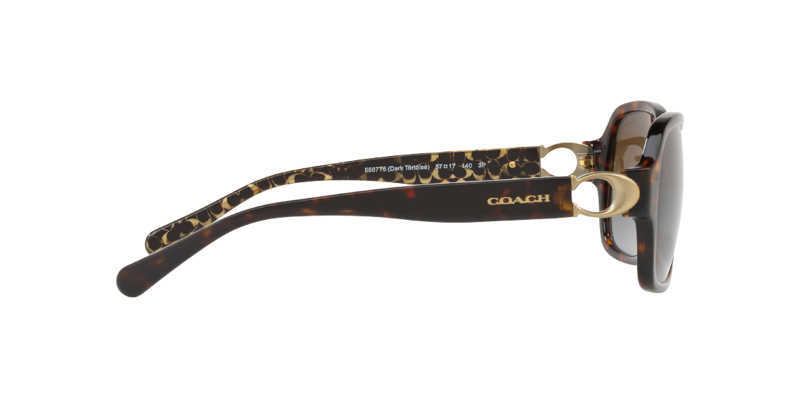 Солнцезащитные очки Coach L1031 HC8241 5507T5