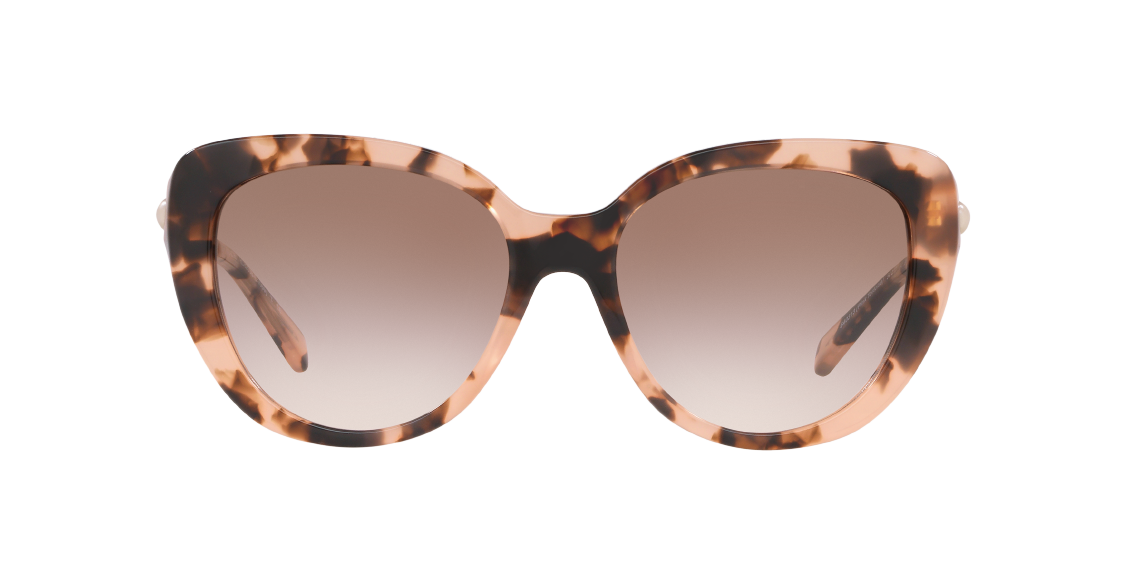 Солнцезащитные очки Coach L1069 HC8253B 540313