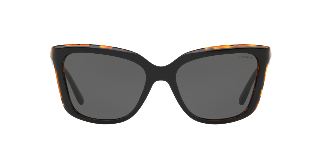 Солнцезащитные очки Coach L1059 HC8261 544687