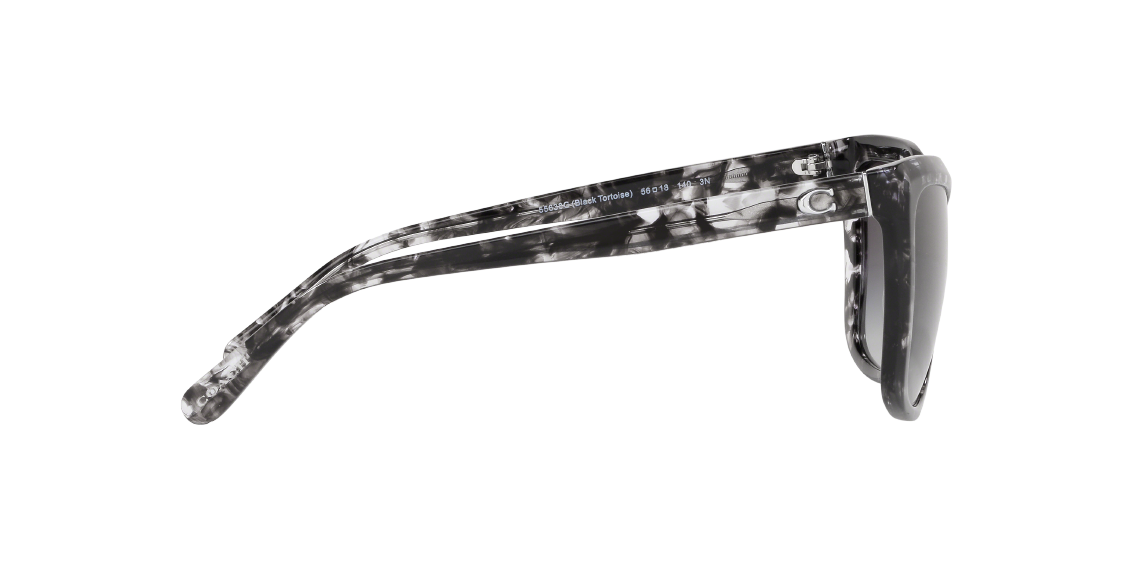 Солнцезащитные очки Coach L1059 HC8261 55638G