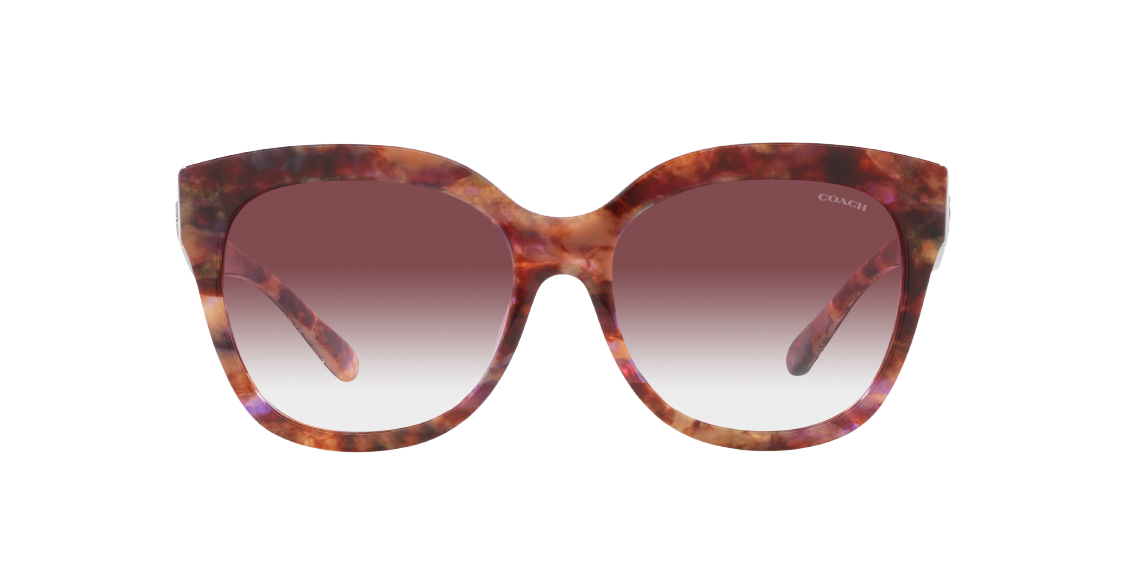 Солнцезащитные очки Coach L1083 HC8264 57398H