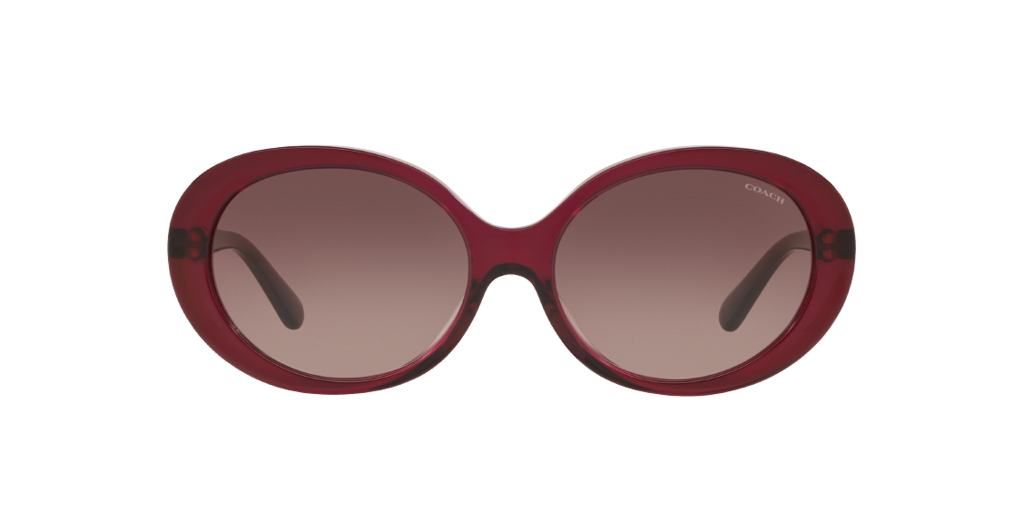 Солнцезащитные очки Coach L1100 HC8270U 5557E2