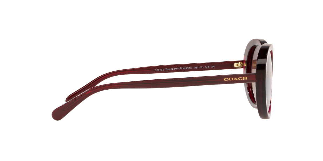 Солнцезащитные очки Coach L1100 HC8270U 5557E2