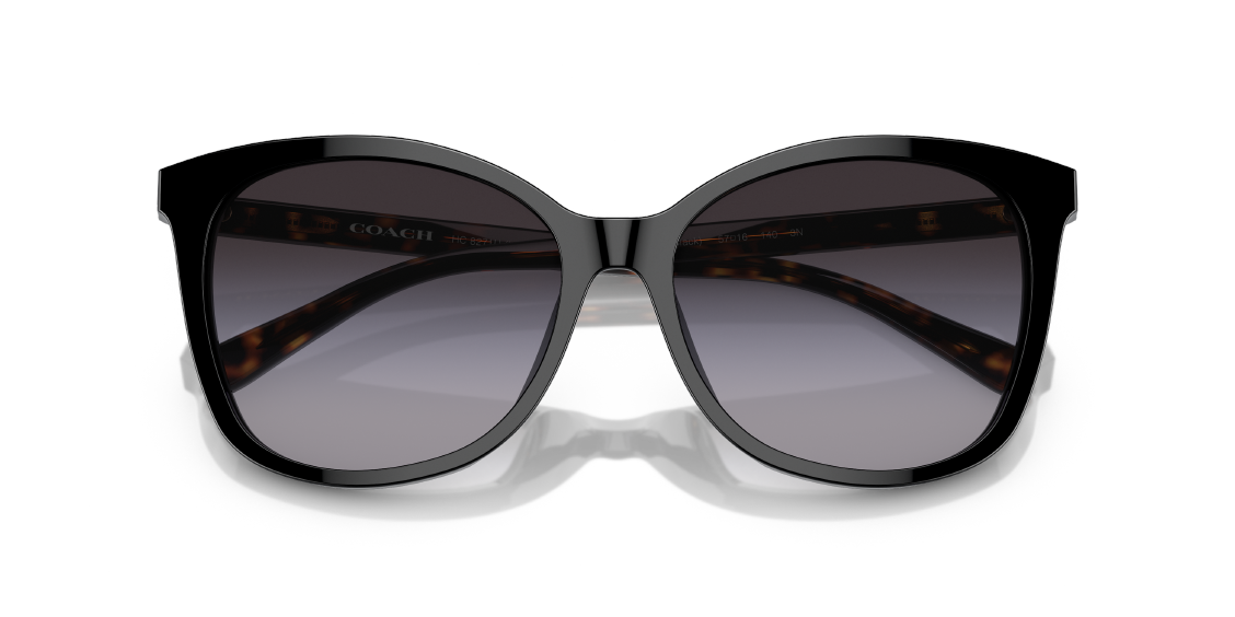 Солнцезащитные очки Coach L1101 HC8271U 50028G