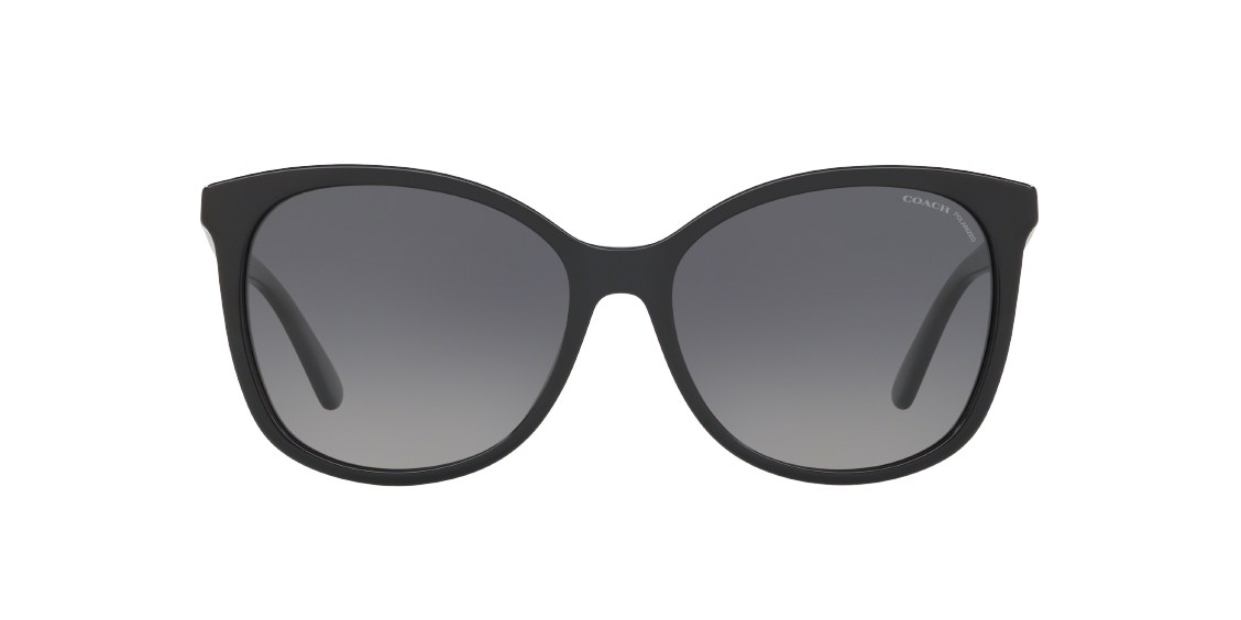 Солнцезащитные очки Coach L1101 HC8271U 5002T3