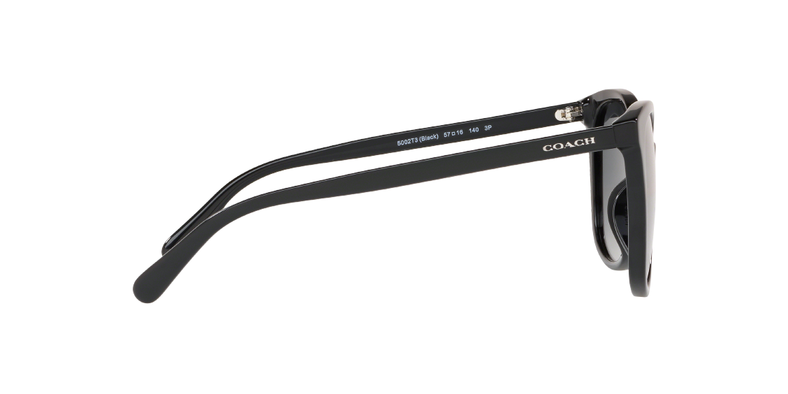 Солнцезащитные очки Coach L1101 HC8271U 5002T3