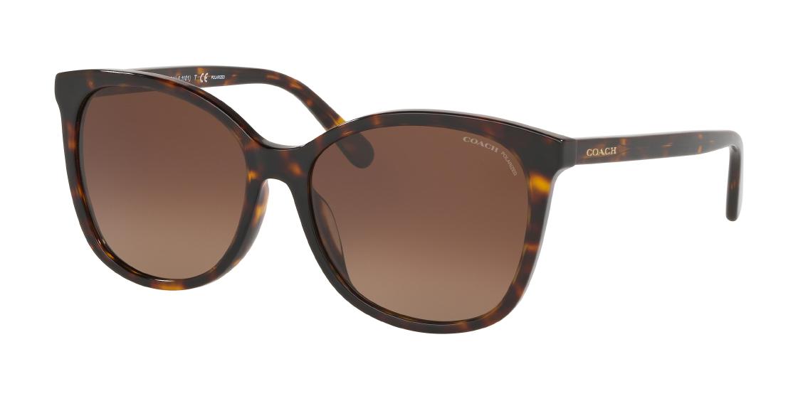 Солнцезащитные очки Coach L1101 HC8271U 5120T5