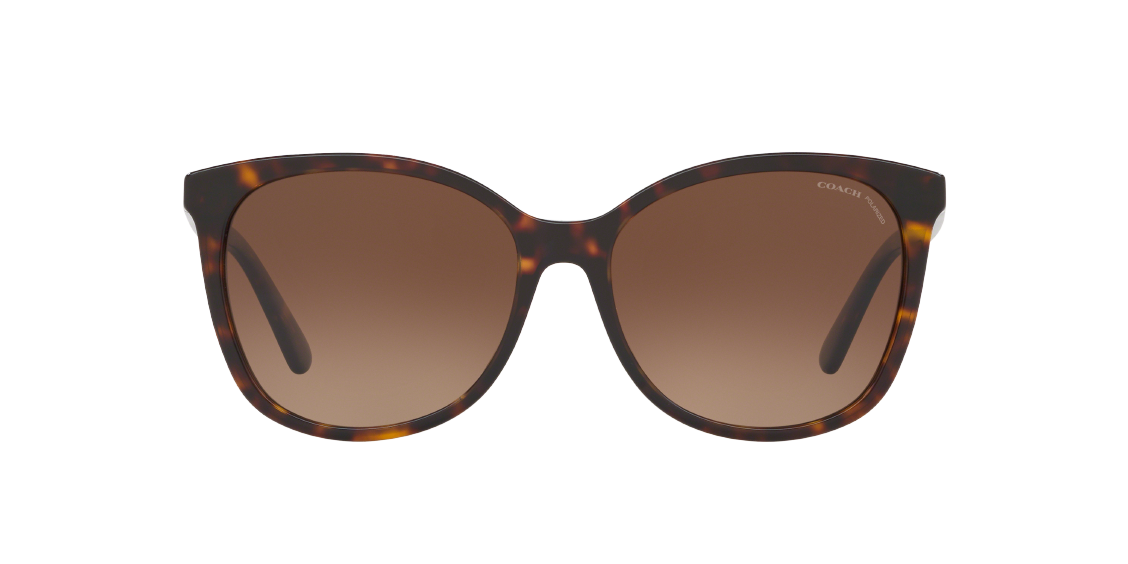 Солнцезащитные очки Coach L1101 HC8271U 5120T5