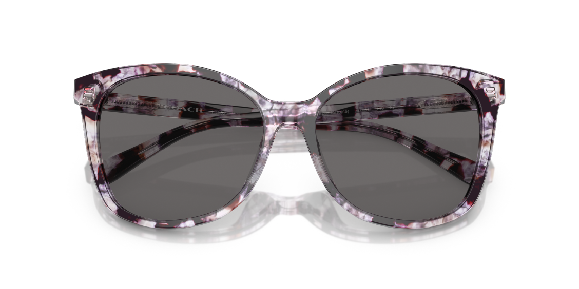 Солнцезащитные очки Coach L1101 HC8271U 554881