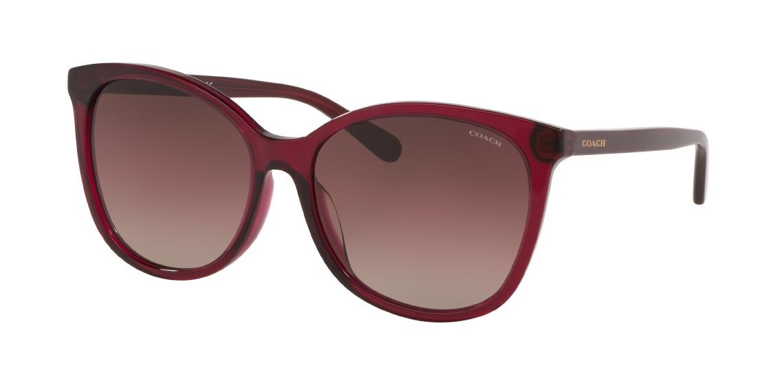 Солнцезащитные очки Coach L1101 HC8271U 5557E2