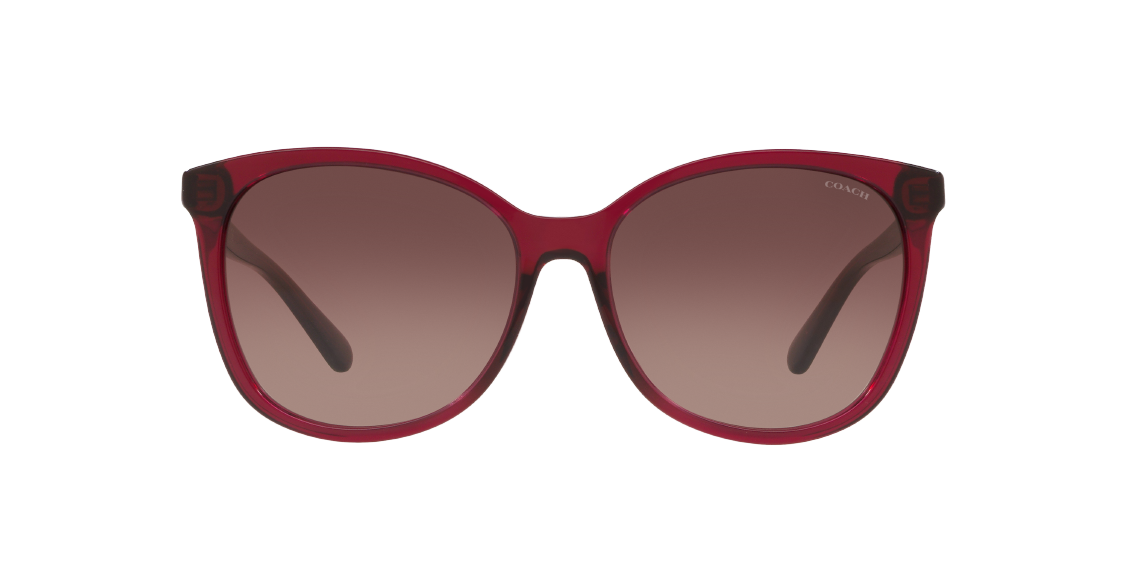 Солнцезащитные очки Coach L1101 HC8271U 5557E2