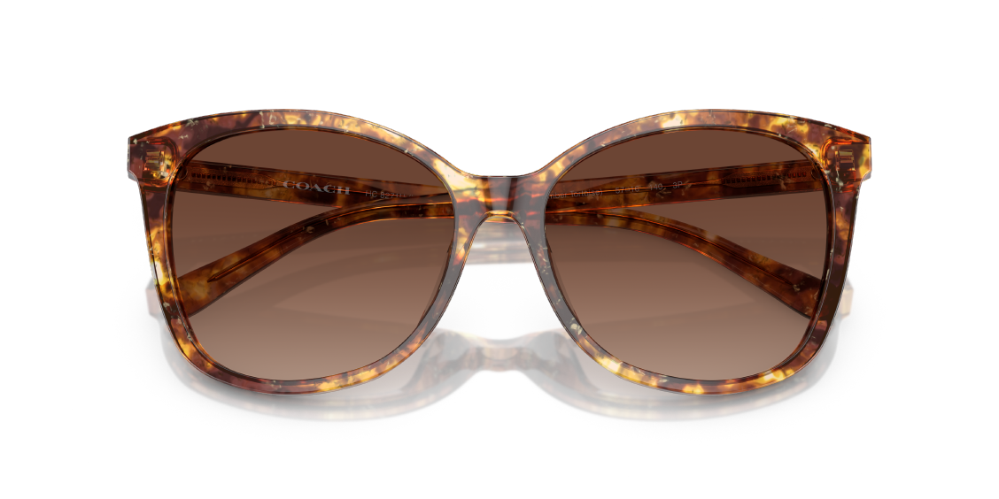 Солнцезащитные очки Coach L1101 HC8271U 5631T5