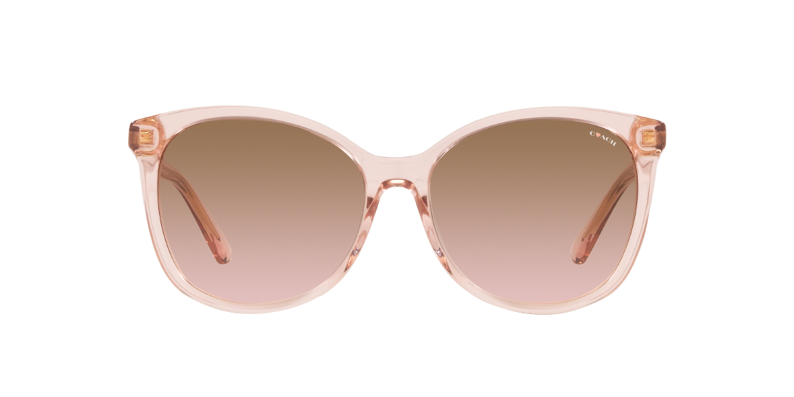 Солнцезащитные очки Coach L1101 HC8271U 566811