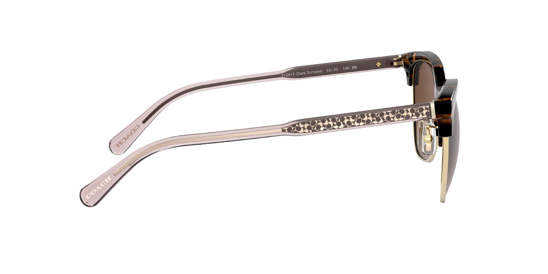 Солнцезащитные очки Coach L1113 HC8277 512013