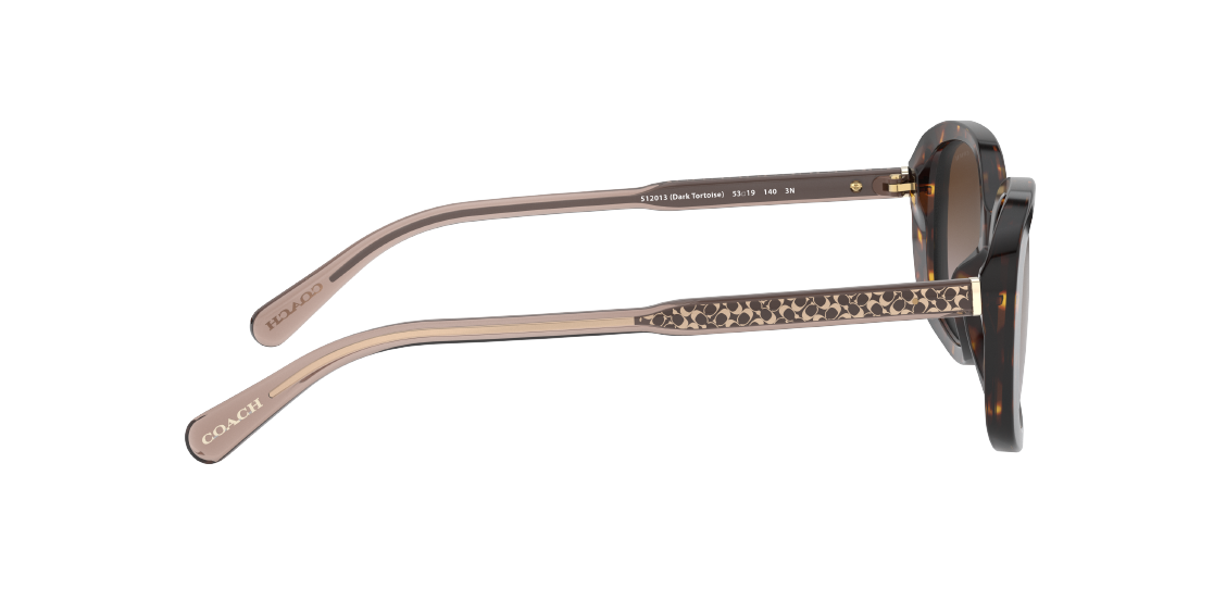 Солнцезащитные очки Coach L1114 HC8278 512013
