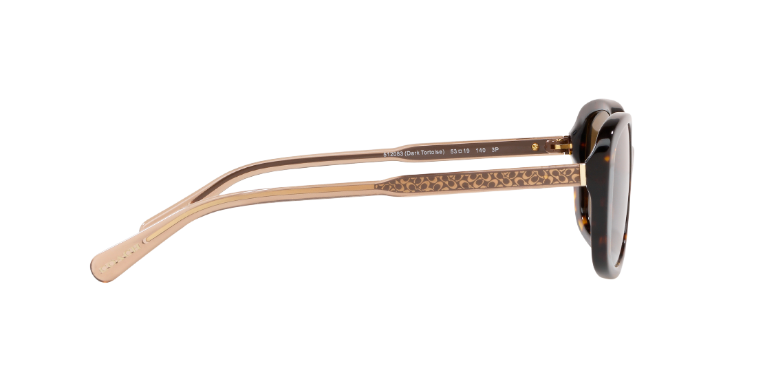 Солнцезащитные очки Coach L1114 HC8278 512083