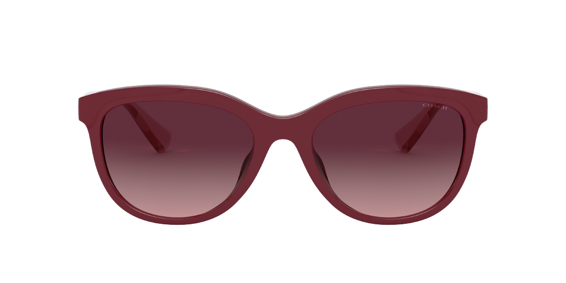 Солнцезащитные очки Coach L1137 HC8285U 50318H