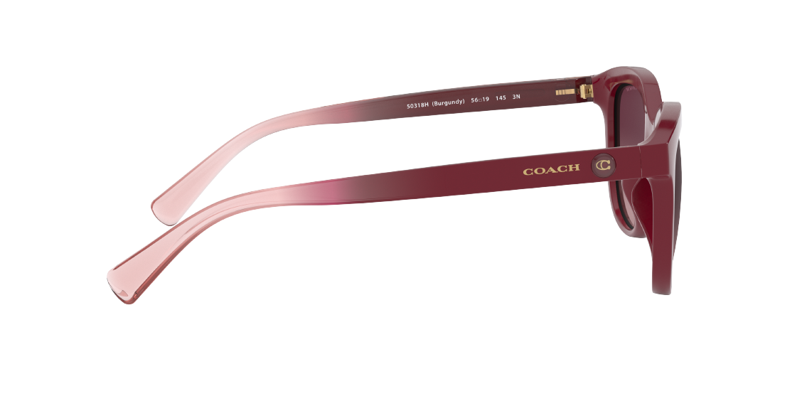 Солнцезащитные очки Coach L1137 HC8285U 50318H
