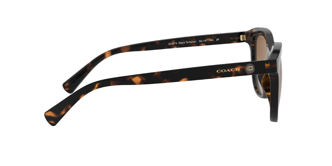 Солнцезащитные очки Coach L1137 HC8285U 5120T5