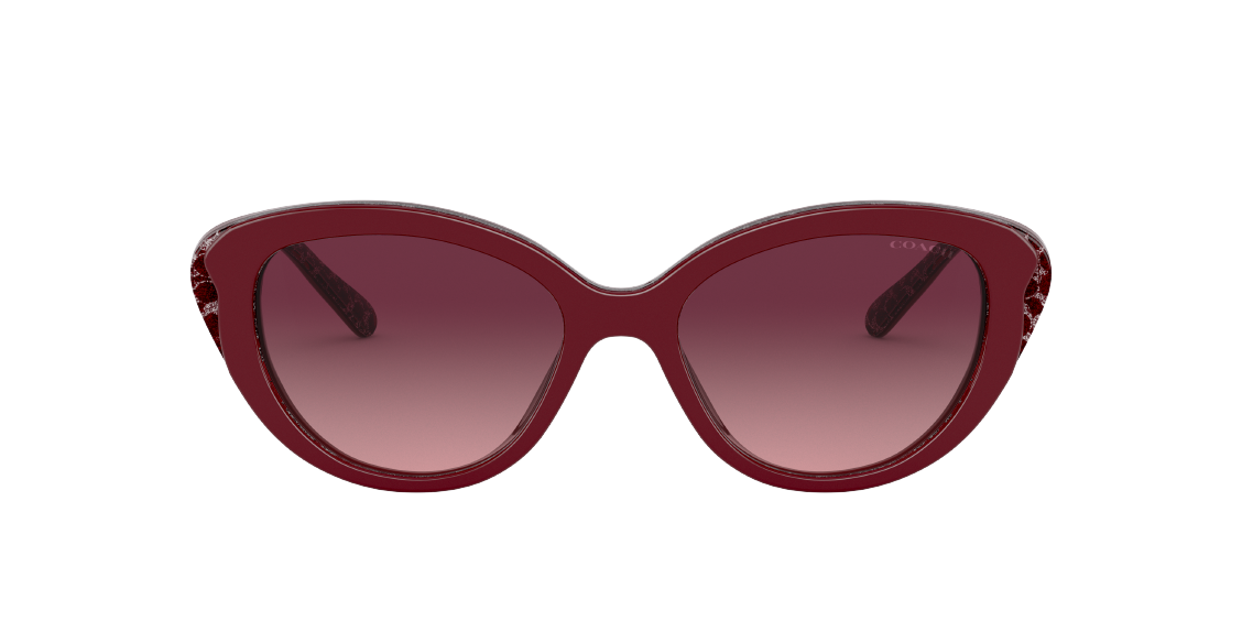 Солнцезащитные очки Coach L1133 HC8288 55848H