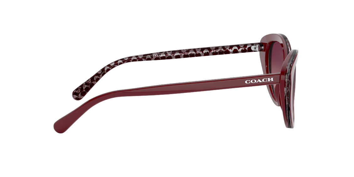 Солнцезащитные очки Coach L1133 HC8288 55848H