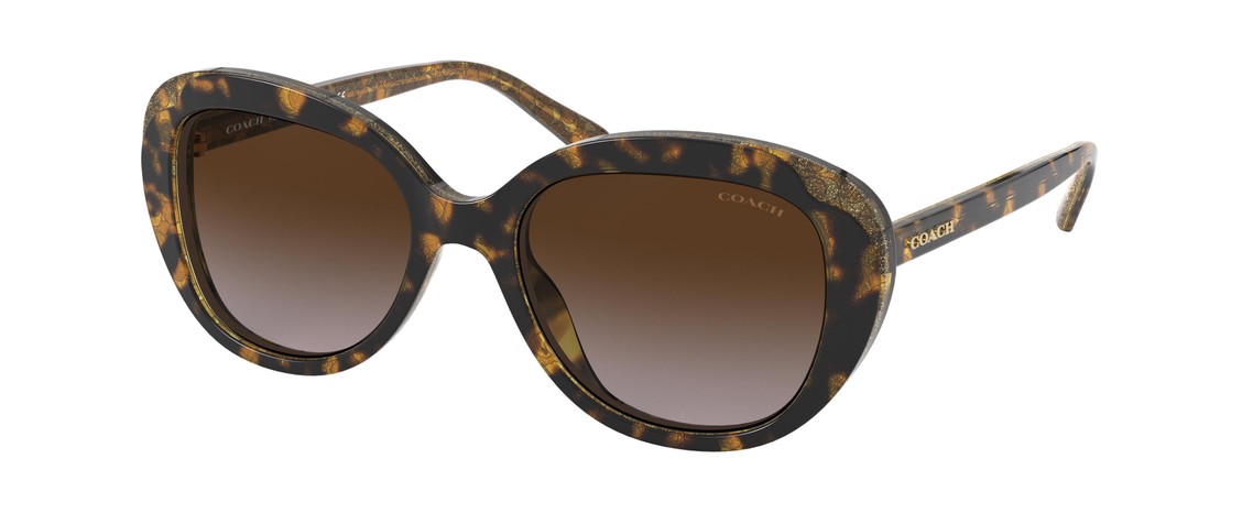 Солнцезащитные очки Coach L1134 HC8289 558313