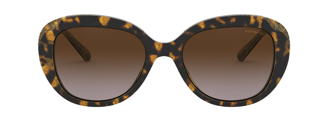 Солнцезащитные очки Coach L1134 HC8289 558313