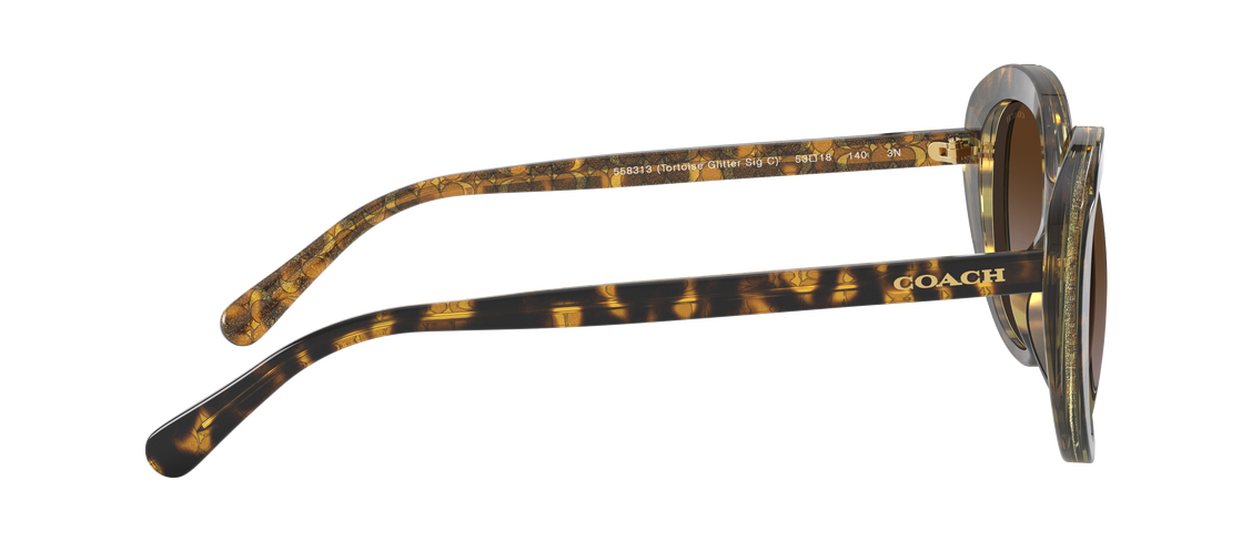 Солнцезащитные очки Coach L1134 HC8289 558313