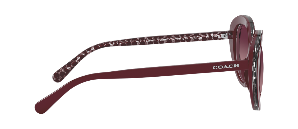 Солнцезащитные очки Coach L1134 HC8289 55848H