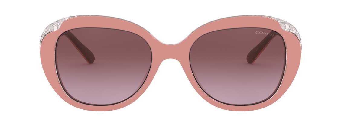 Солнцезащитные очки Coach L1134 HC8289 55858H