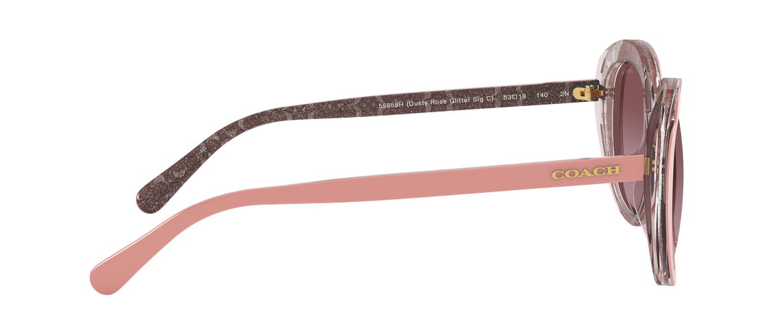 Солнцезащитные очки Coach L1134 HC8289 55858H