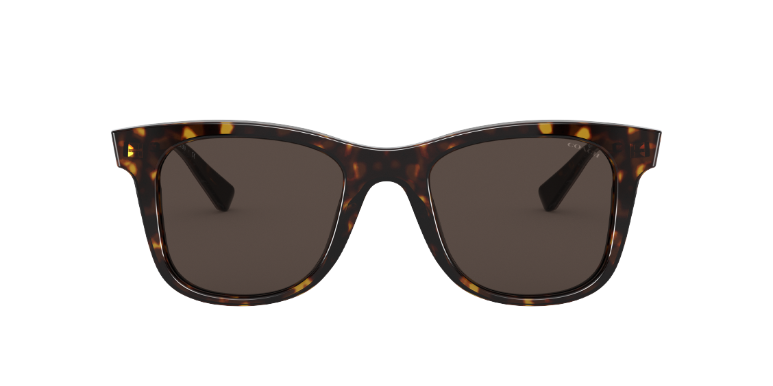 Солнцезащитные очки Coach L1135 HC8290 503173