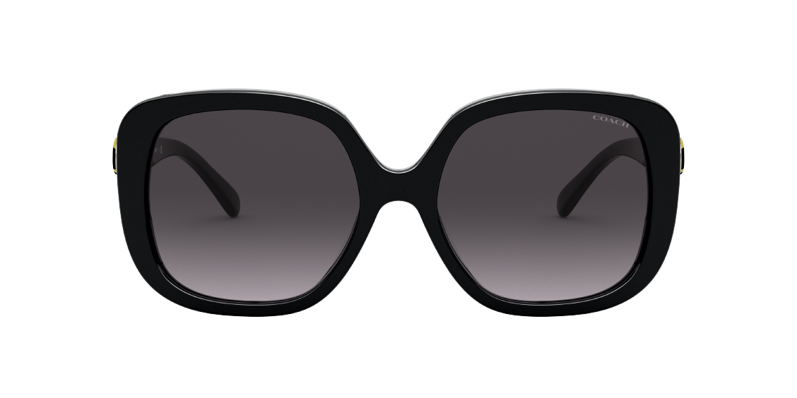 Солнцезащитные очки Coach L1144 HC8292 50028G