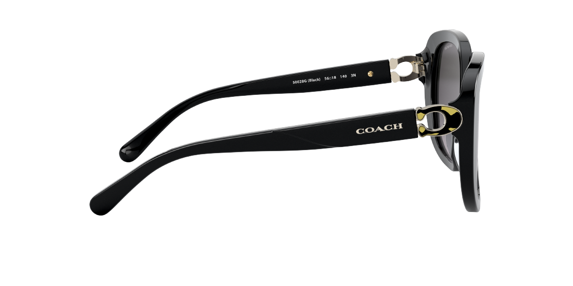 Солнцезащитные очки Coach L1144 HC8292 50028G