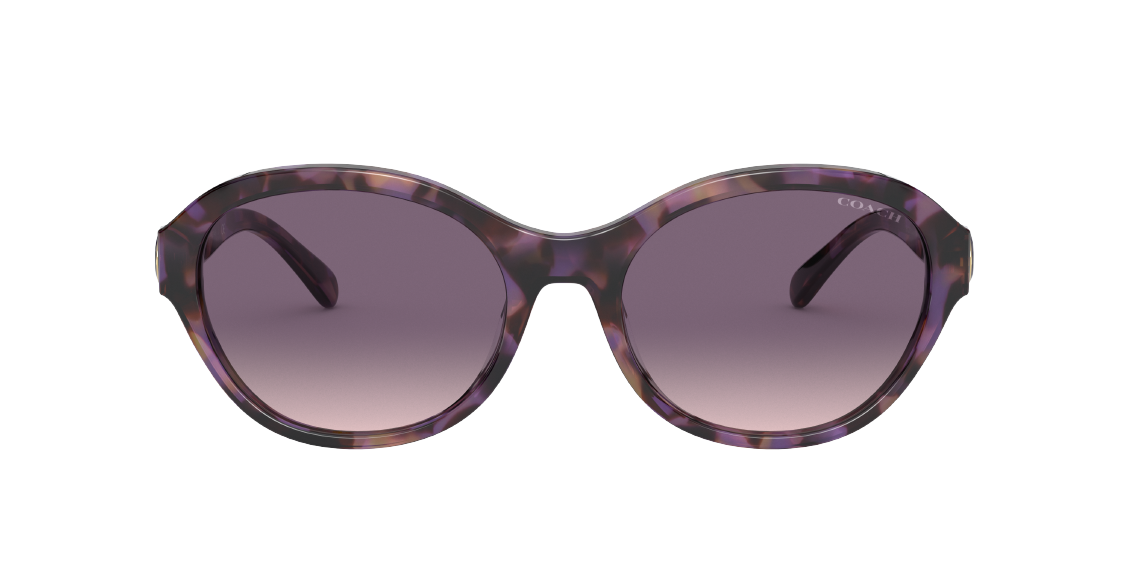 Солнцезащитные очки Coach L1145 HC8293 561236