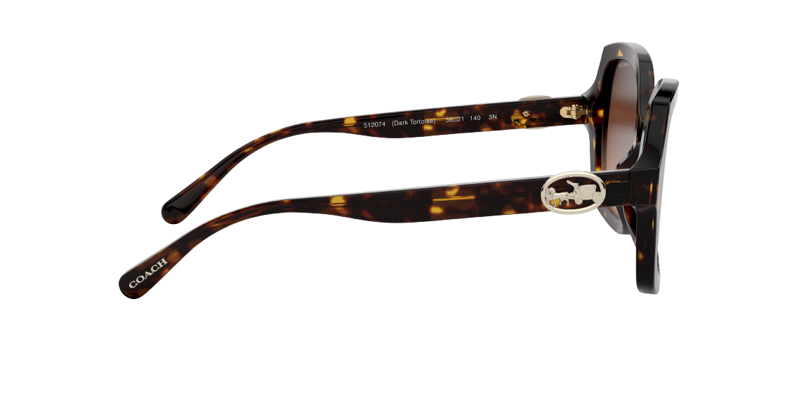 Солнцезащитные очки Coach L1147 HC8295 512074