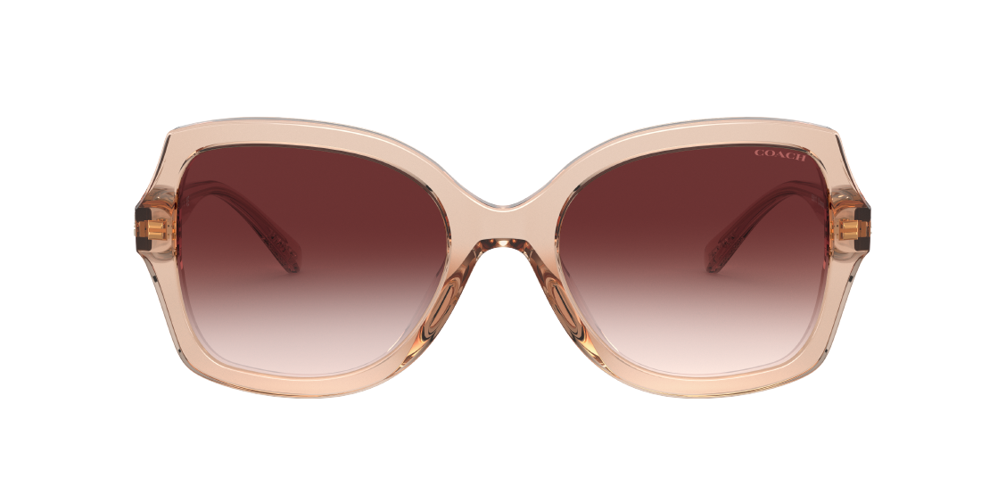 Солнцезащитные очки Coach L1147 HC8295 556113