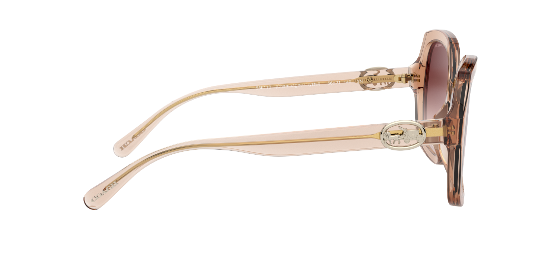 Солнцезащитные очки Coach L1147 HC8295 556113