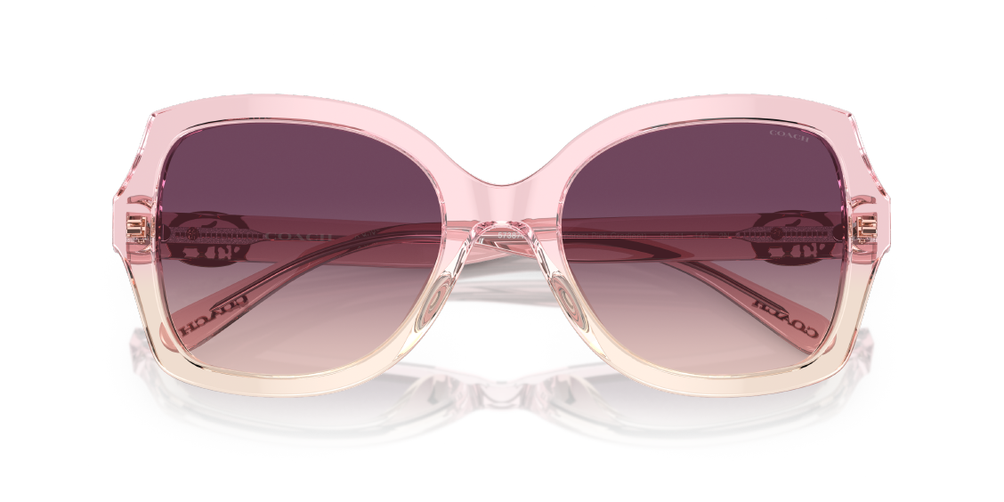 Солнцезащитные очки Coach L1147 HC8295 57387W