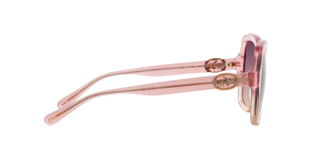 Солнцезащитные очки Coach L1147 HC8295 57387W