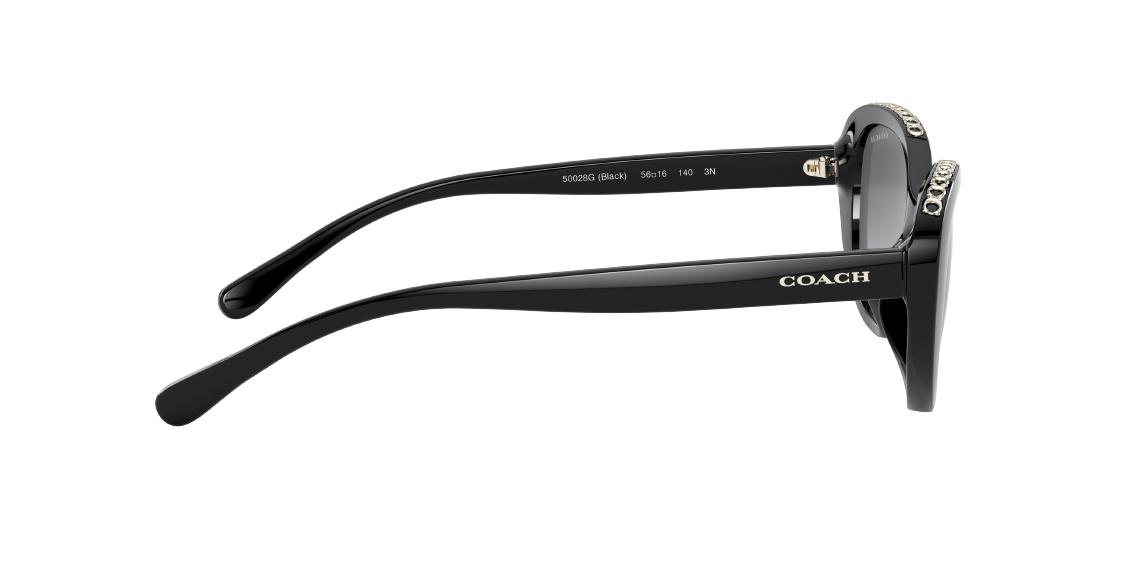 Солнцезащитные очки Coach L1150 HC8296U 50028G