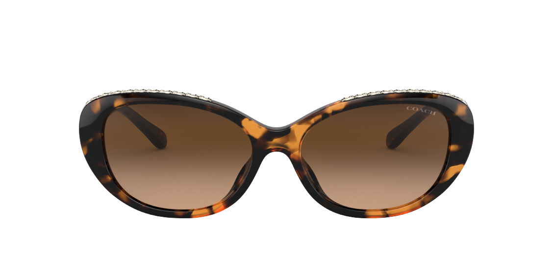 Солнцезащитные очки Coach L1150 HC8296U 512074
