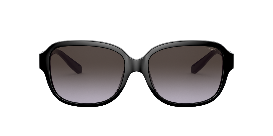 Солнцезащитные очки Coach L1153 HC8298U 50028G