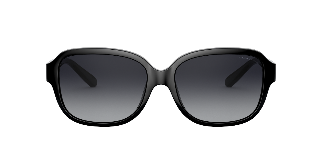 Солнцезащитные очки Coach L1153 HC8298U 5002T3