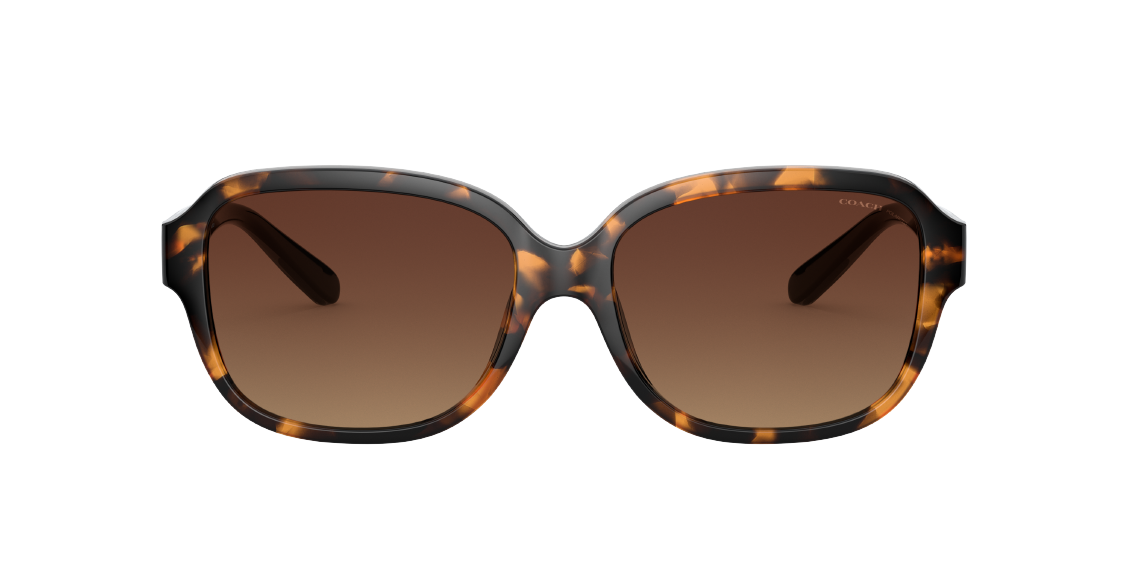 Солнцезащитные очки Coach L1153 HC8298U 5120T5