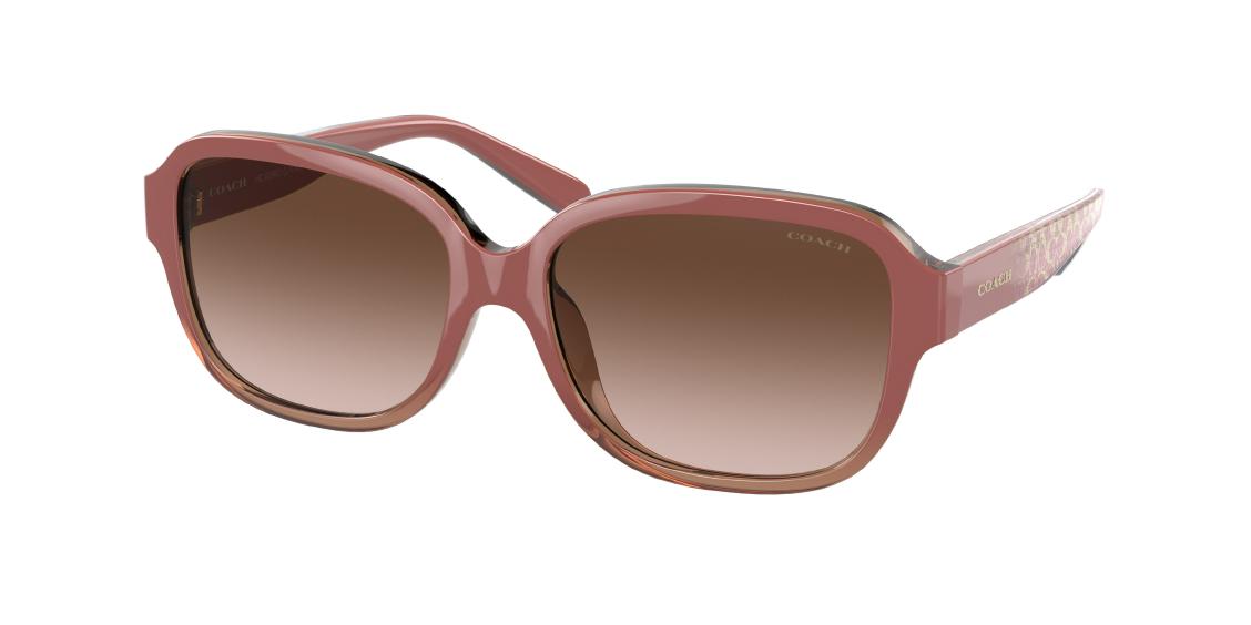 Солнцезащитные очки Coach L1153 HC8298U 562113