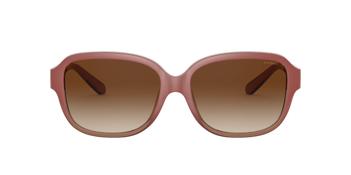 Солнцезащитные очки Coach L1153 HC8298U 562113