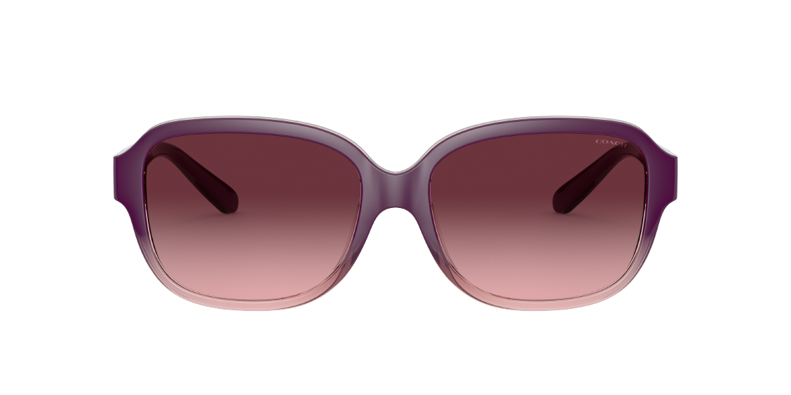 Солнцезащитные очки Coach L1153 HC8298U 56228H
